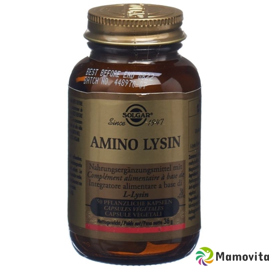 Solgar Amino Lysin Kapseln 50 Stück buy online