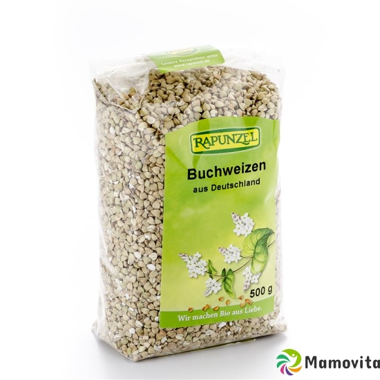 Rapunzel Buchweizen 500g buy online