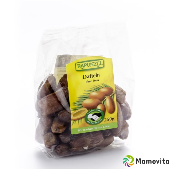 Rapunzel Datteln Deglet Nour ohne Stein 250g buy online