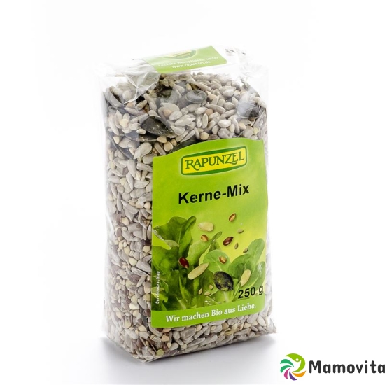 Rapunzel Kerne-Mix Geröstet 250g buy online