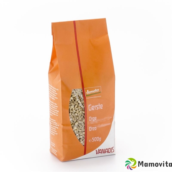 Vanadis Gerste 500g buy online