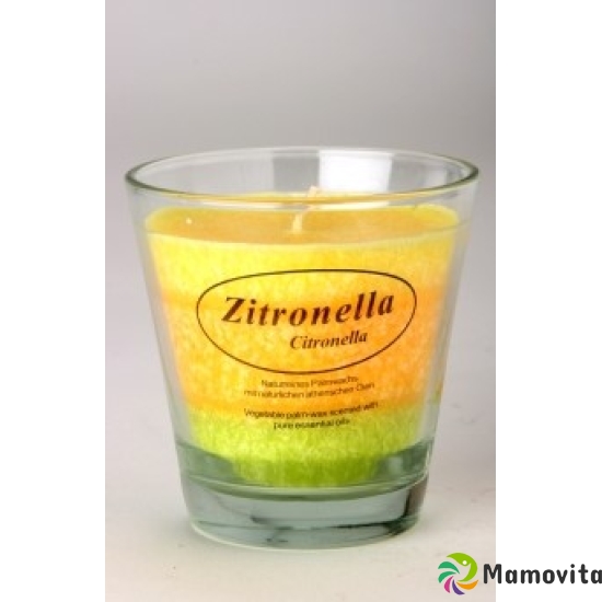 Candle farm stearin candle citronella glass buy online