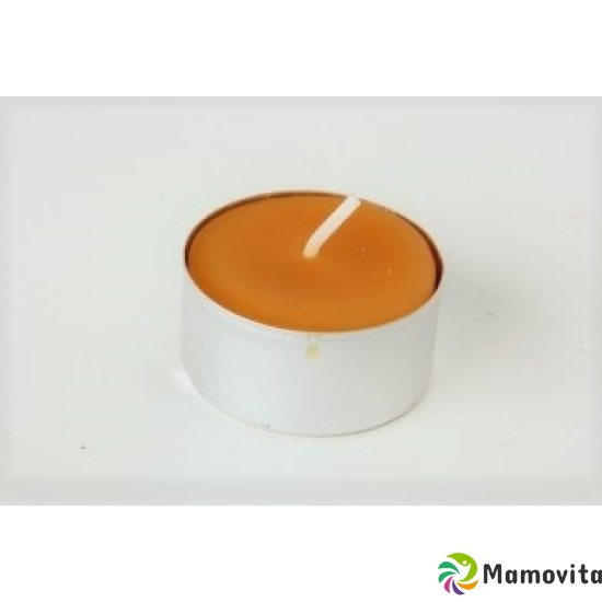 Candle Farm Beeswax Candle Tealight M Alu buy online