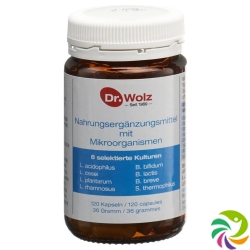 Dr. Wolz microorganisms Kaps 120 pcs