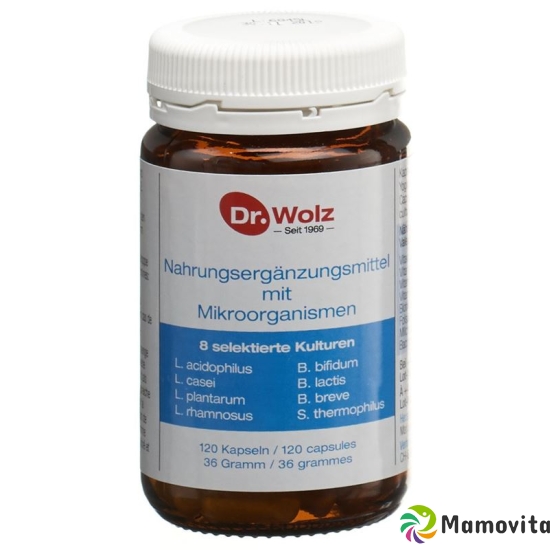 Dr. Wolz microorganisms Kaps 120 pcs buy online