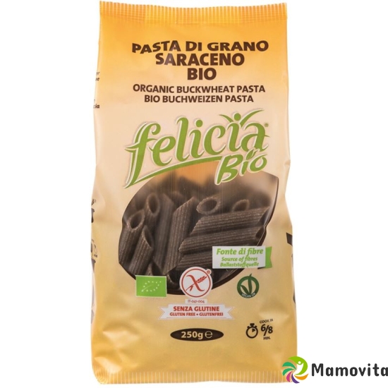 Felicia Penne Buchweizen 250g buy online