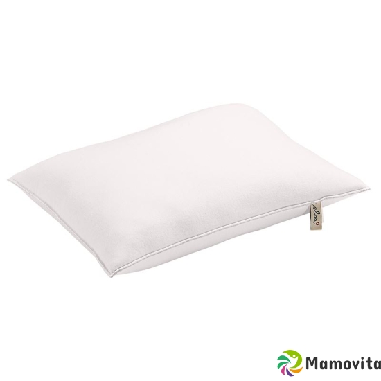 Elsa Supreme sleeping pillow 30x40cm Bordeaux buy online