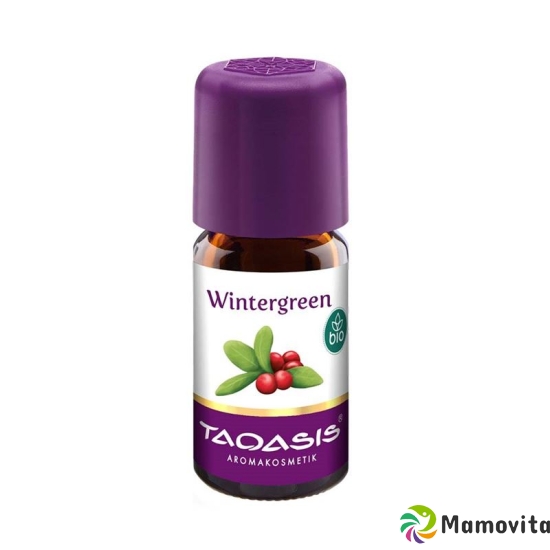 Taoasis Wintergreen Ätherisches Öl Bio 5ml buy online