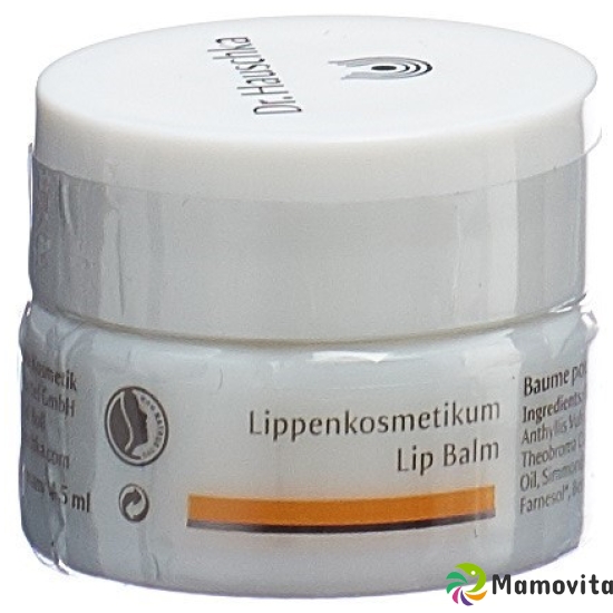 Dr Hauschka lip cosmetic 4.5 ml buy online