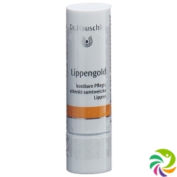 Dr Hauschka lip Gold 4.9 g