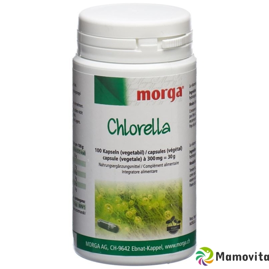 Morga Chlorella Vegicaps 100 pcs buy online