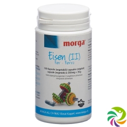 Morga iron (II) vegicaps 100 pcs