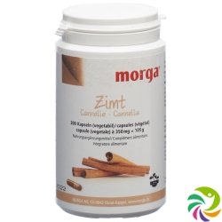 Morga cinnamon Vegicaps 300 pcs