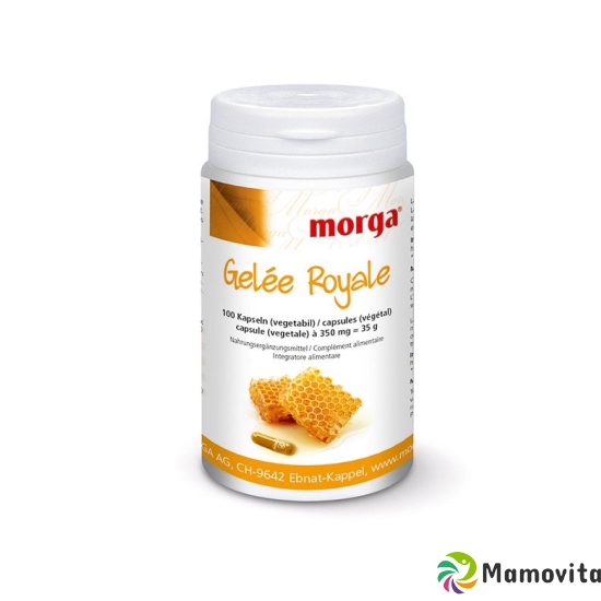 Morga royal jelly Vegicaps 100 pcs buy online