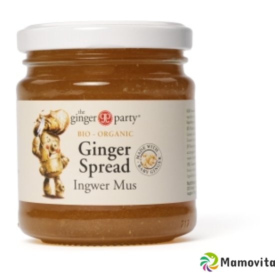 Ginger Party Ingwer Mus Bio 240g buy online