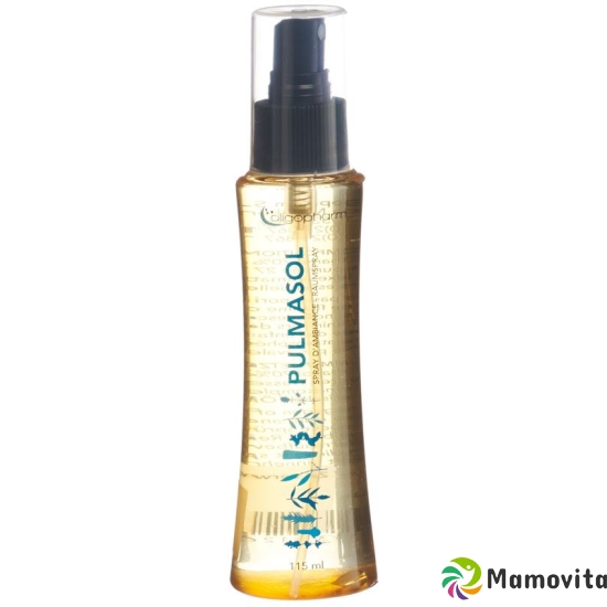 Pulmasol Spray 115 ml buy online