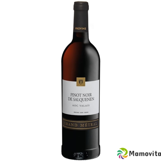 Pinot Noir De Salquenen Aoc Gr Metr 2012 6x 75cl buy online