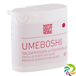 Naturkraftwerke Umeboshi Salzaprik Lutschperl 16g