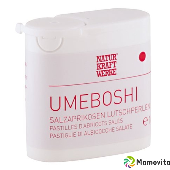 Naturkraftwerke Umeboshi Salzaprik Lutschperl 16g buy online