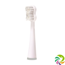 Edel+white Bürstenköpfe Schallzahnbürste Sg 150 2