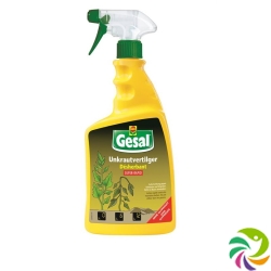 Gesal weed killer SUPER-RAPID RTU 1 lt