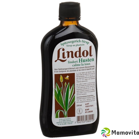 Lindol Plantain syrup Fl 210 ml buy online