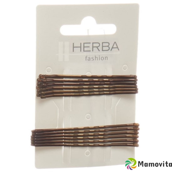 Herba terminal 6 + 6.5cm brown 12 pcs buy online