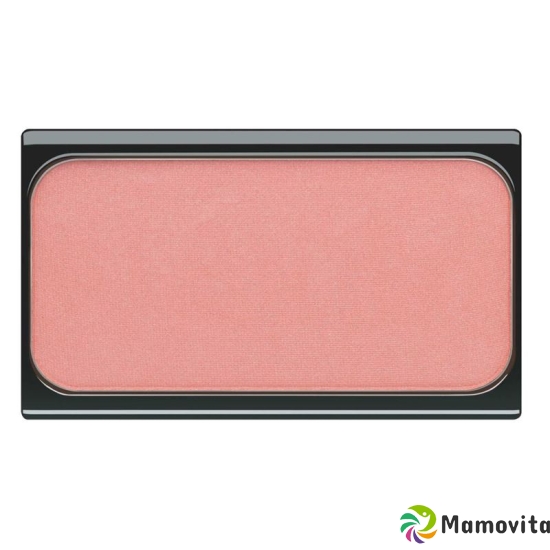 Art Deco Blusher 330.10 buy online