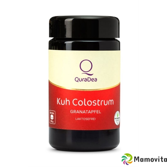 QuraDea Cow Colostrum tbl with pomegranate and elderberry 120 pcs buy online