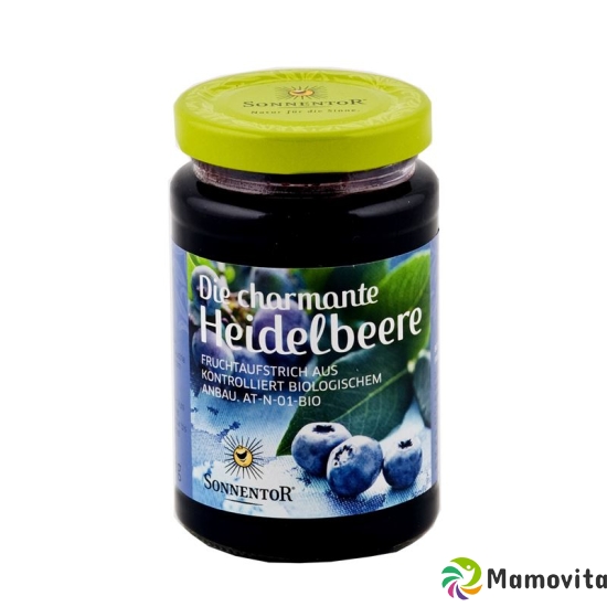 Sonnentor fruit spread the charming blueberry 250 g buy online