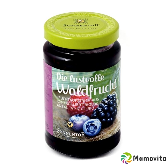 Sonnentor fruit spread the pleasurable Waldfrucht 250 g buy online