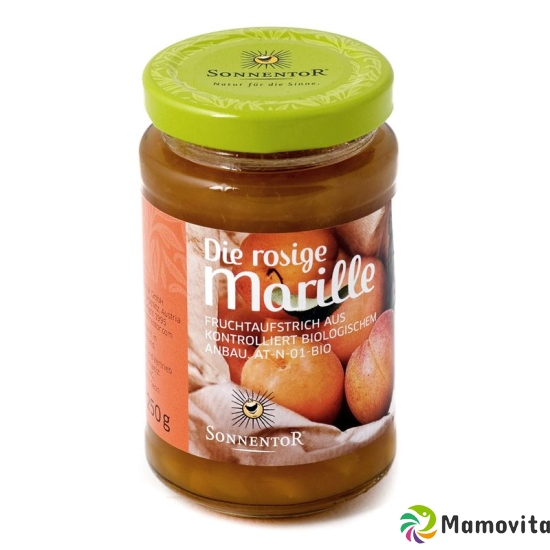 Sonnentor fruit spread the rosy apricot 250 g buy online