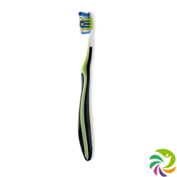 Cleandent toothbrush