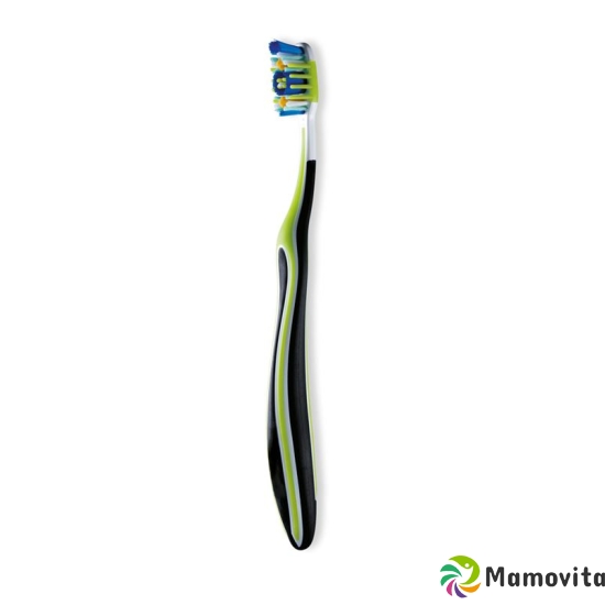 Cleandent toothbrush buy online