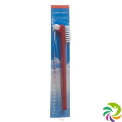 Cleandent denture brush