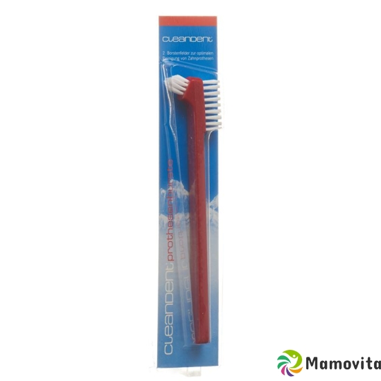 Cleandent denture brush buy online