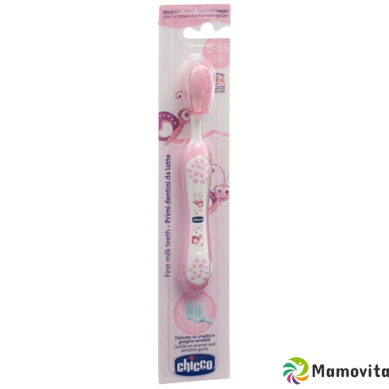 Chicco toothbrush pink 6m + buy online