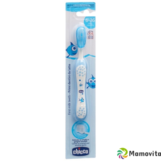 Chicco toothbrush light blue 6m + buy online