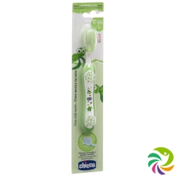 Chicco toothbrush green 6m +