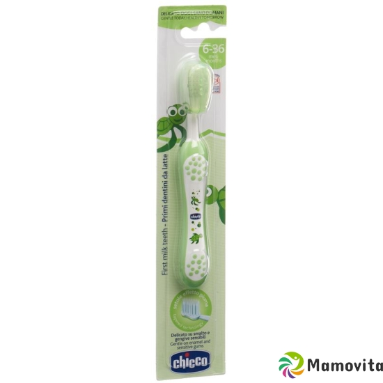 Chicco toothbrush green 6m + buy online