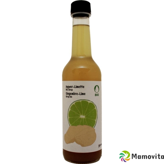 Haltbarmacherei Ingwer-Limettensirup Bio 3.5dl buy online