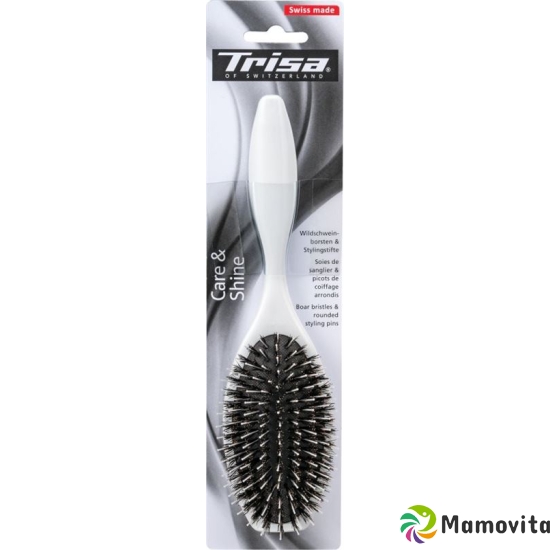 Trisa Basic Brushing large mixed buy online