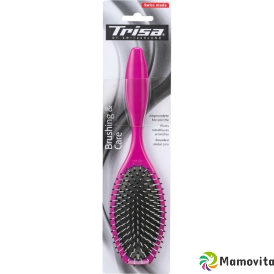 Trisa Basic Brushing large buy online