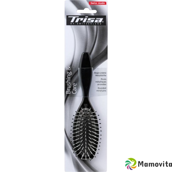 Trisa Basic Brushing small buy online