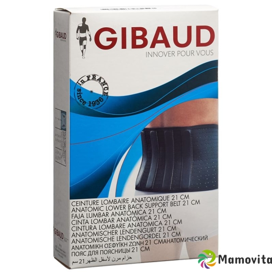 GIBAUD lumbar support belt anatomically 21cm Gr2 90-101cm buy online