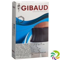 Gibaud Action V Lendenstützgurt Grösse 3 100-110cm Sch