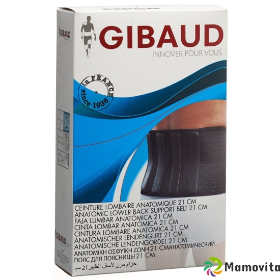 Gibaud Action V Lendenstützgurt Grösse 3 100-110cm Sch buy online