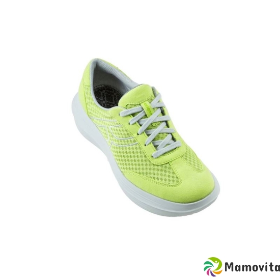 Kyboot Gstaad 39 Lime W 1 Paar buy online