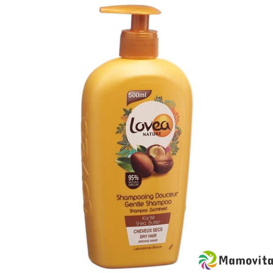 Lovea Shea Shampoo 500ml buy online