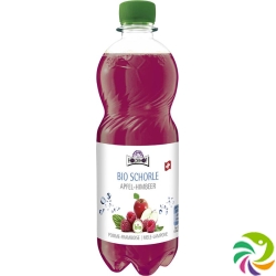 Holderhof apple-raspberry juice bio 5 dl